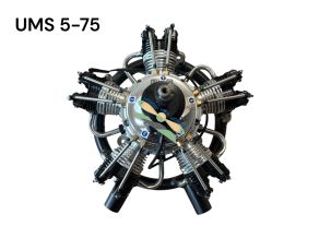 UMS 75cc Gas 5 Cylinder Engine with Pump