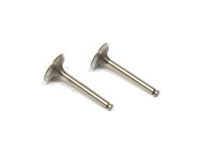 Valve In / Out (Pair) SAI10046