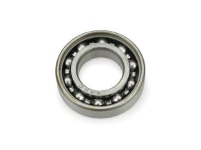 Rear Ball Bearing SAI100T22A