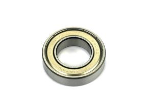 Main Bearing (rear)