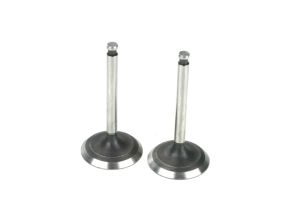 Valve In / Out (Pair) SAI220a46