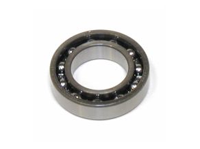 Main Ball Bearing SAI300T21