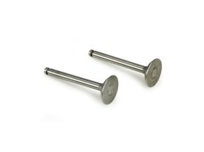 Valve In / Out (Pair) SAI325R546