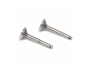 Valve In / Out (Pair) SAI5046