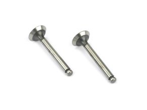 Valve In / Out (Pair) SAI60T46