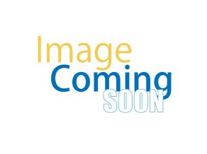 Carburettor Complete SAIG11821