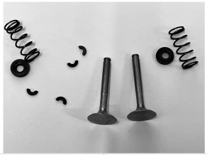 Evolution 160cc 7 Cylinder Radial 4 Stroke Gas Engine Valve Sub Assembly (Pair)