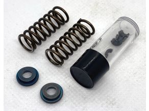 Valve Spring, Keeper & Retainer SAIG100TS47