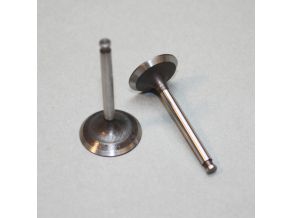 Valve(in & out)pair