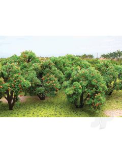 Orange Tree Grove, 2in to 2-1/4in Tall, (6 per pack)