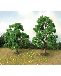 Lemon Tree Grove, 4-1/2in to 5in Tall, (2 per pack)