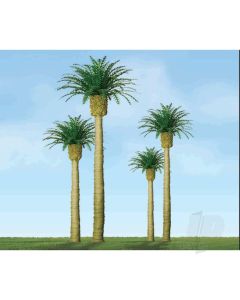 Phoenix Palm, 3in, (3 per pack)