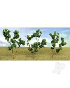 Dark Green Branches, 1.5in to 3in, (60 per pack)