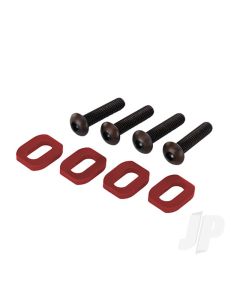Motor Mounting Bolts and Washers (4 pcs)
