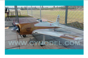 CY Model 100cc Planes